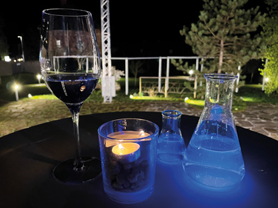 Glühwürmchen und Gin Tonic Glühwürmchen und Gin Tonic