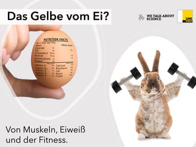 Das Gelbe vom Ei Das Gelbe vom Ei